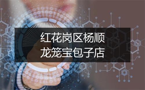 红花岗区杨顺龙笼宝包子店