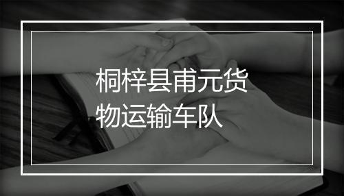 桐梓县甫元货物运输车队