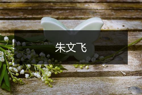 朱文飞
