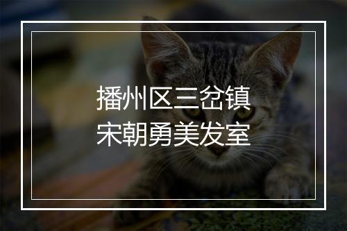 播州区三岔镇宋朝勇美发室