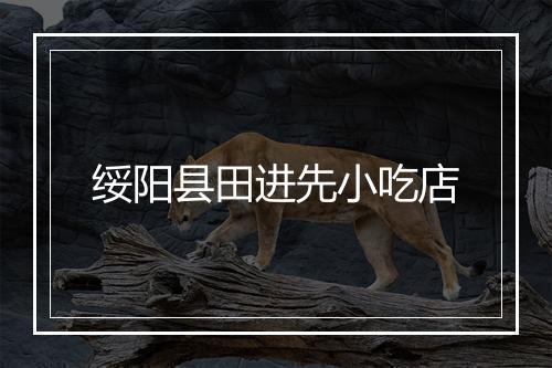 绥阳县田进先小吃店