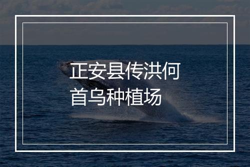 正安县传洪何首乌种植场
