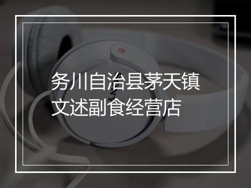 务川自治县茅天镇文述副食经营店