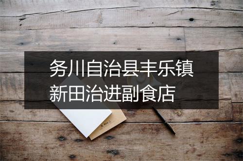 务川自治县丰乐镇新田治进副食店