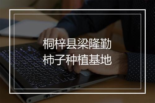 桐梓县梁隆勤柿子种植基地
