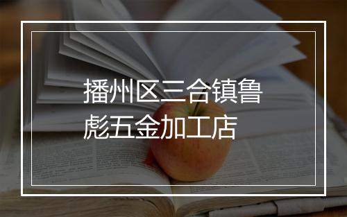 播州区三合镇鲁彪五金加工店
