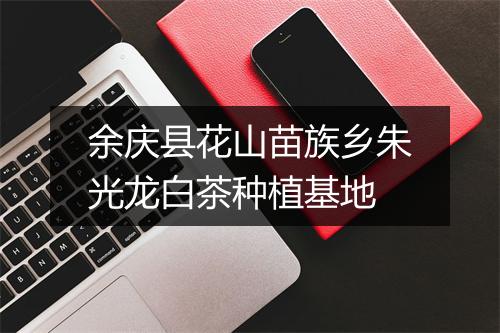 余庆县花山苗族乡朱光龙白茶种植基地