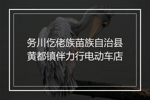 务川仡佬族苗族自治县黄都镇伴力行电动车店