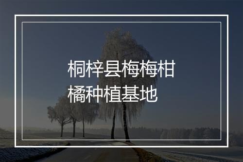 桐梓县梅梅柑橘种植基地
