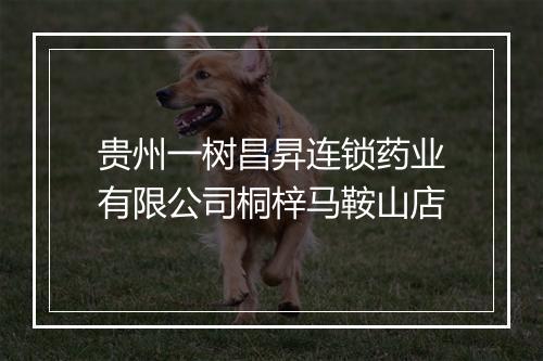 贵州一树昌昇连锁药业有限公司桐梓马鞍山店