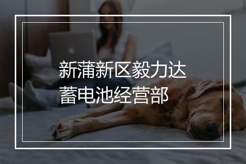 新蒲新区毅力达蓄电池经营部