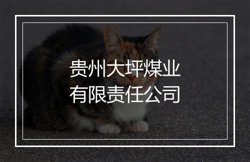 贵州大坪煤业有限责任公司