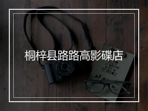 桐梓县路路高影碟店