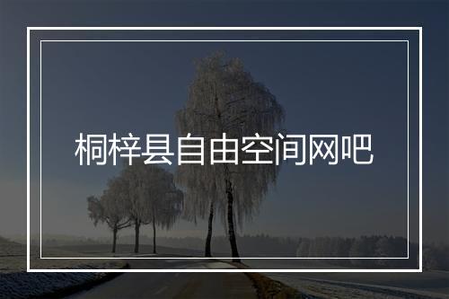 桐梓县自由空间网吧
