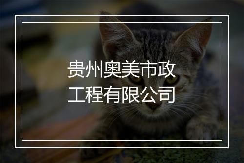 贵州奥美市政工程有限公司