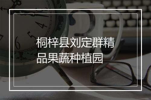 桐梓县刘定群精品果蔬种植园