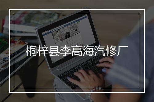 桐梓县李高海汽修厂