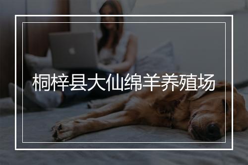桐梓县大仙绵羊养殖场