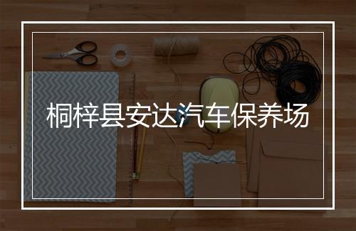 桐梓县安达汽车保养场