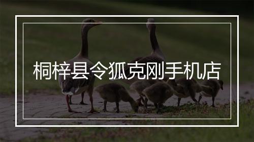 桐梓县令狐克刚手机店