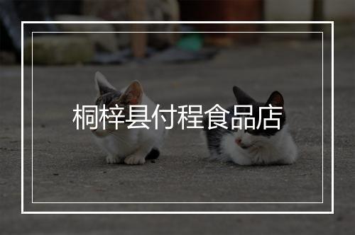 桐梓县付程食品店