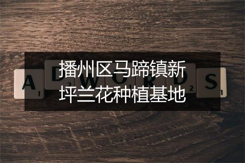 播州区马蹄镇新坪兰花种植基地