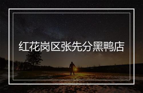 红花岗区张先分黑鸭店