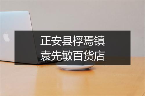 正安县桴焉镇袁先敏百货店
