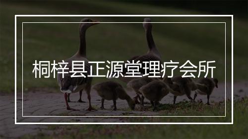 桐梓县正源堂理疗会所