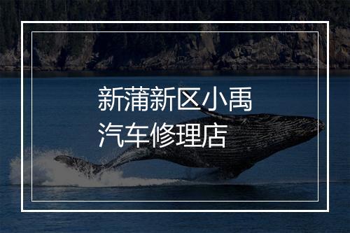 新蒲新区小禹汽车修理店