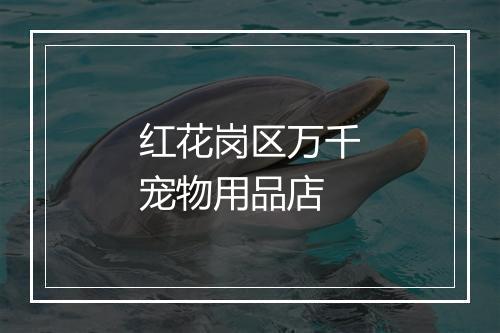 红花岗区万千宠物用品店