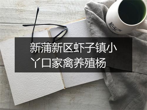 新蒲新区虾子镇小丫口家禽养殖杨