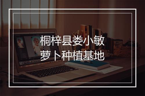 桐梓县娄小敏萝卜种植基地