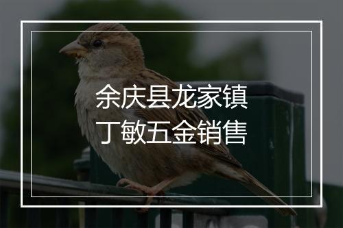 余庆县龙家镇丁敏五金销售