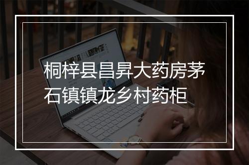 桐梓县昌昇大药房茅石镇镇龙乡村药柜