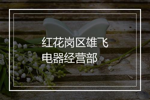 红花岗区雄飞电器经营部