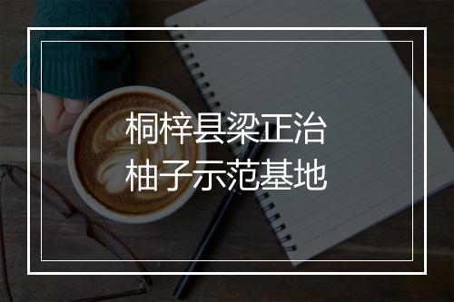 桐梓县梁正治柚子示范基地