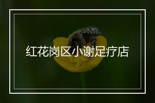 红花岗区小谢足疗店