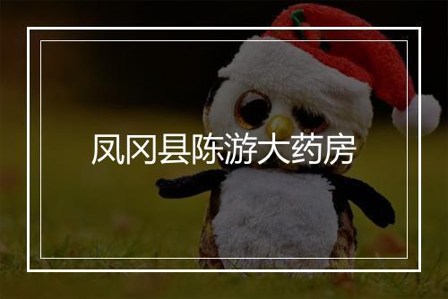 凤冈县陈游大药房