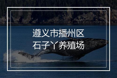 遵义市播州区石子丫养殖场