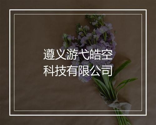 遵义游弋皓空科技有限公司