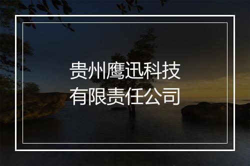 贵州鹰迅科技有限责任公司