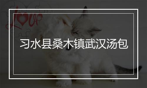 习水县桑木镇武汉汤包