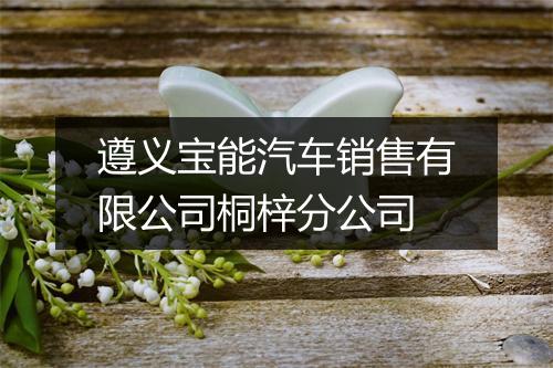 遵义宝能汽车销售有限公司桐梓分公司