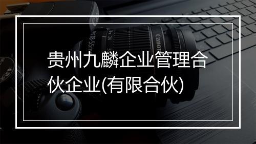 贵州九麟企业管理合伙企业(有限合伙)