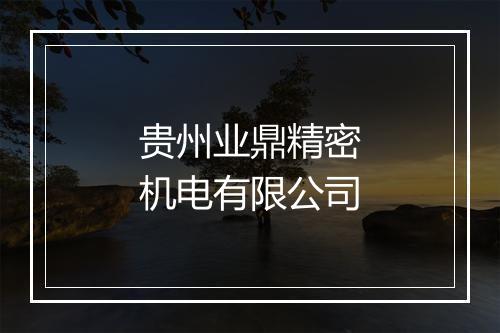 贵州业鼎精密机电有限公司