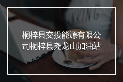 桐梓县交投能源有限公司桐梓县尧龙山加油站