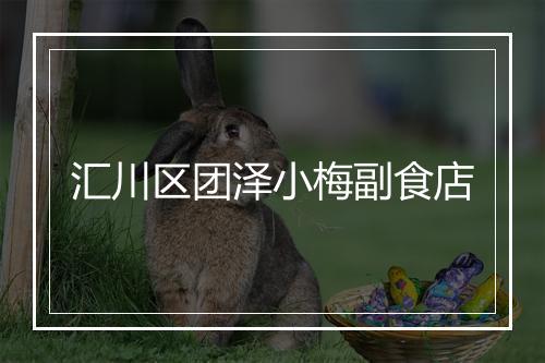 汇川区团泽小梅副食店