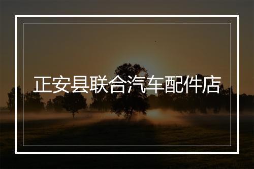 正安县联合汽车配件店
