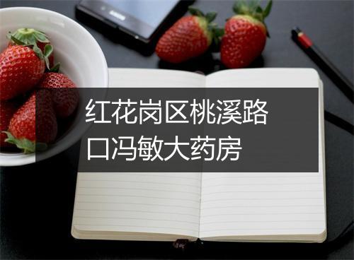 红花岗区桃溪路口冯敏大药房